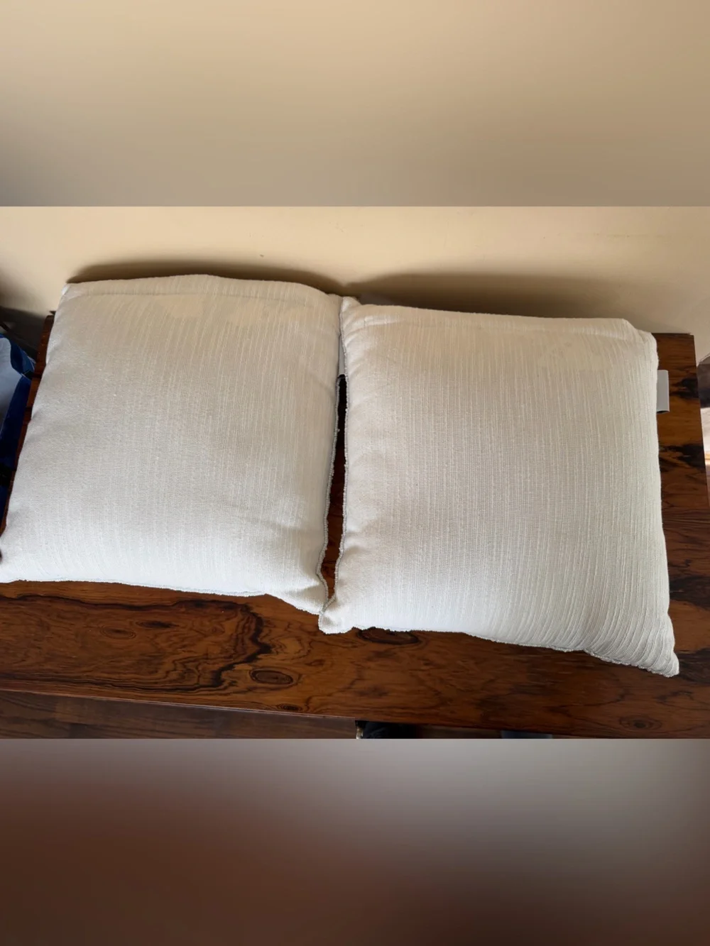 Set of 2 Coastal Collection Beaded Sand Dollar Throw Pillows